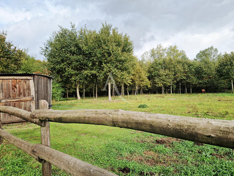 Maison - 176 m² - 7 pièces