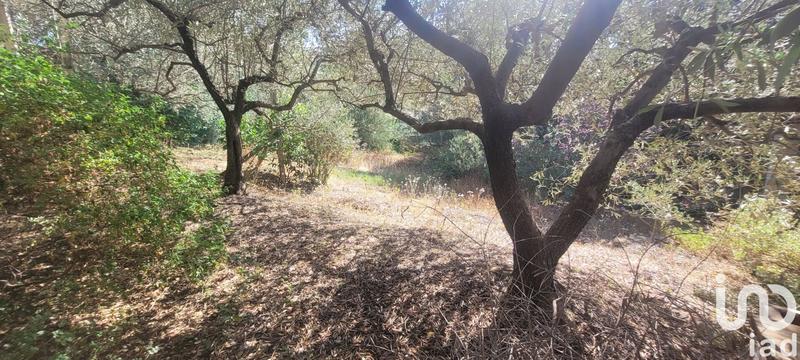 Maison - 98 m² - 5 pièces