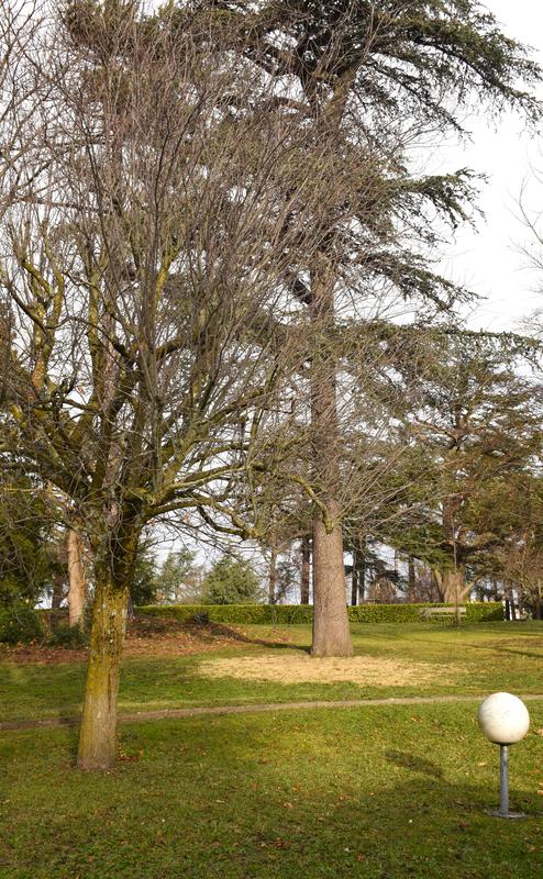 Appartement - 92 m² - 4 pièces