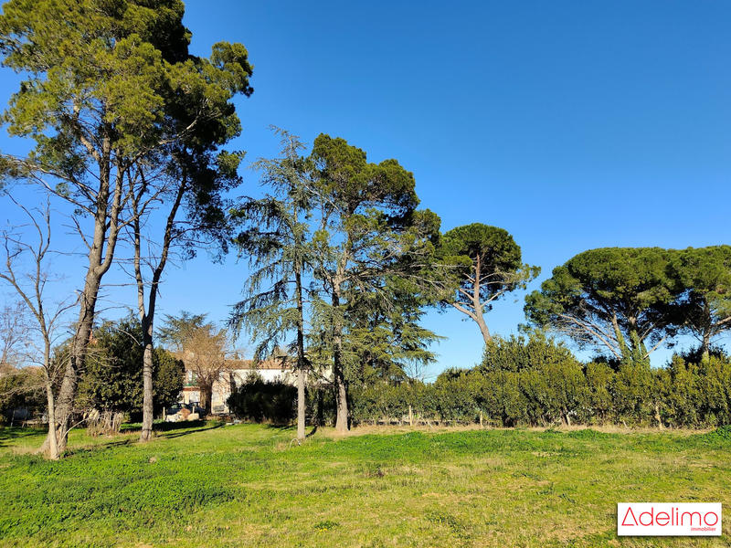 Mas - 1 582 m² - 15 pièces