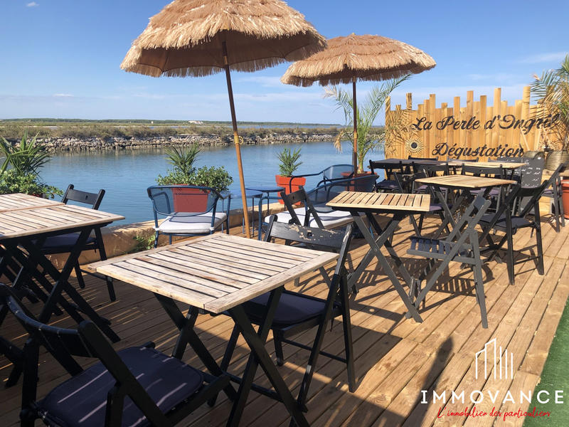 Local commercial - 704 m²