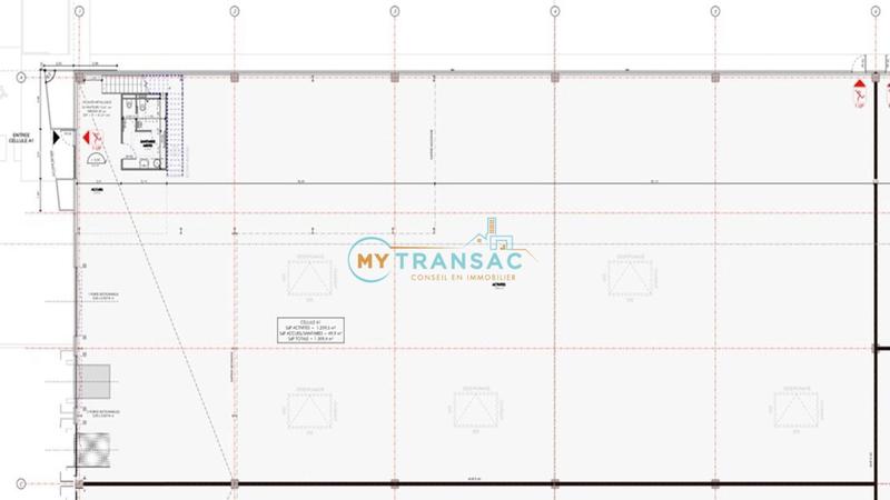 Local d'activité / Entrepôt - 1 684 m²