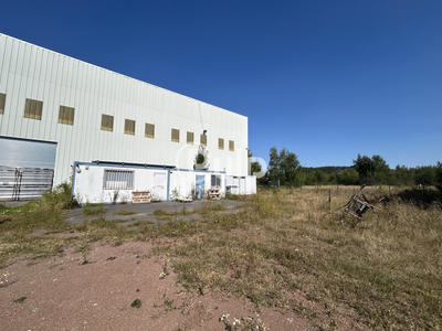 Local artisanal - 700 m² - 4 pièces