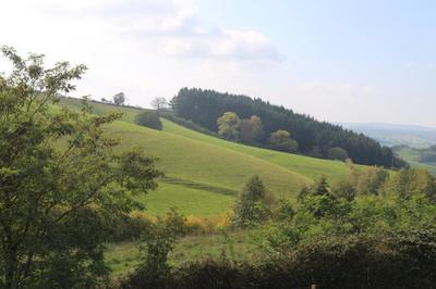 Ferme - 133 m² - 4 pièces