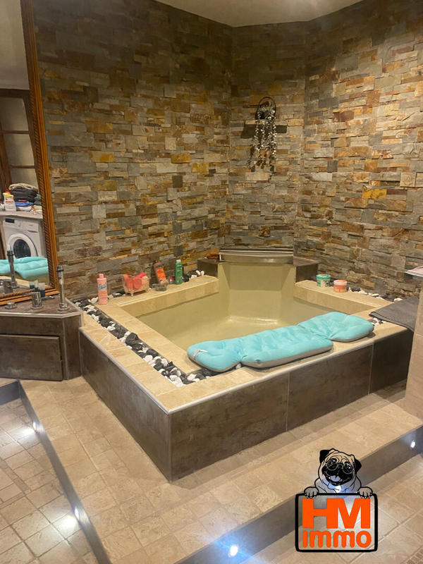 Maison - 300 m² - 15 pièces