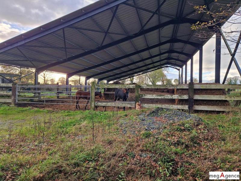 Maison - 168 m² - 5 pièces