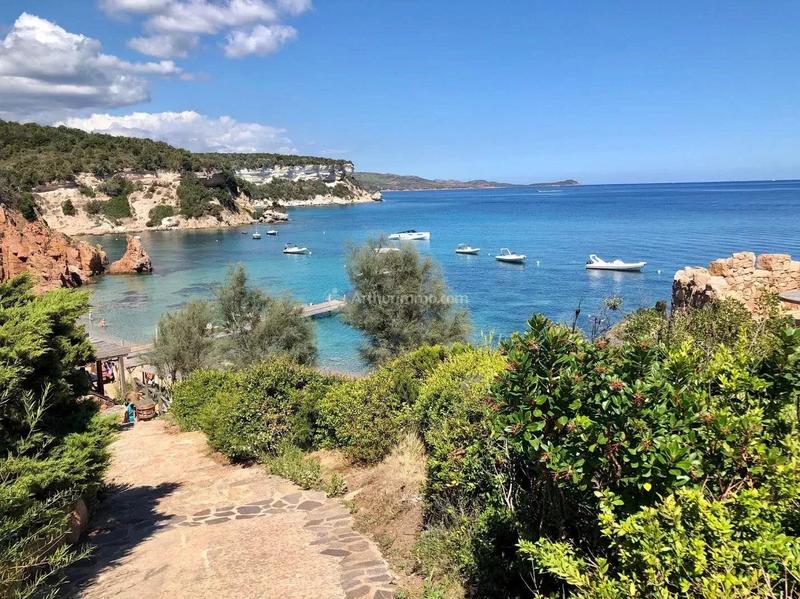 Viager - Maison - 126 m² - 4 pièces