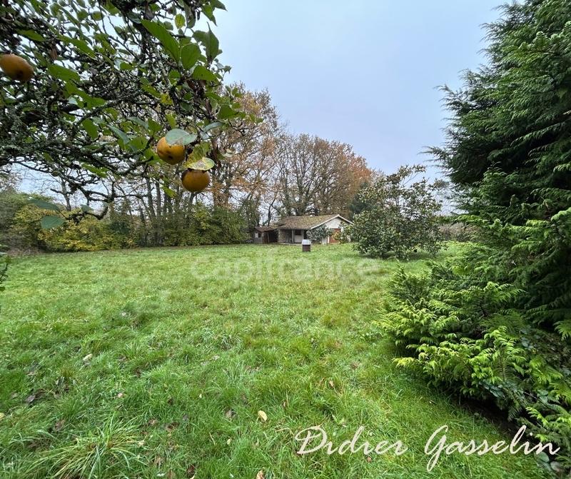 Maison de campagne - 105 m² - 3 pièces