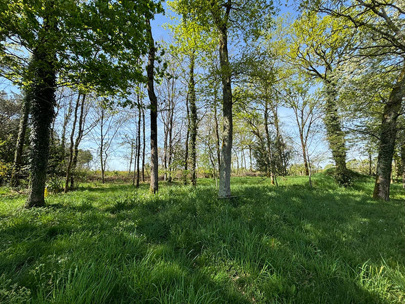 Maison - 130 m² - 7 pièces