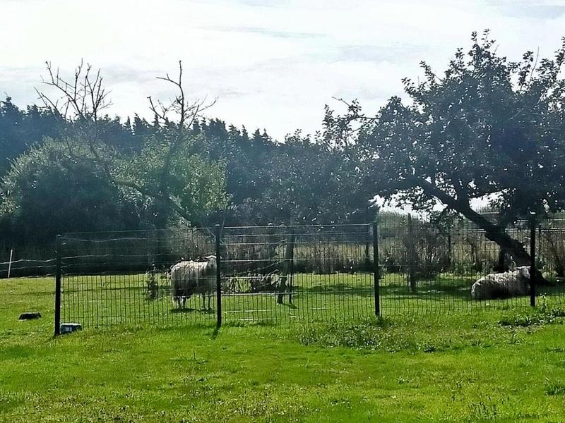 Maison - 188 m² - 8 pièces