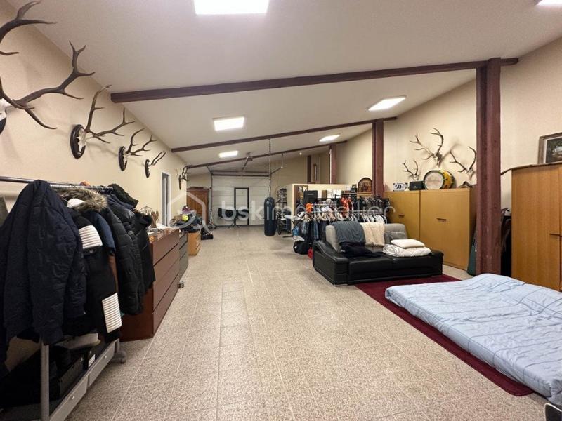 Local d'activité / Entrepôt - 300 m² - 6 pièces