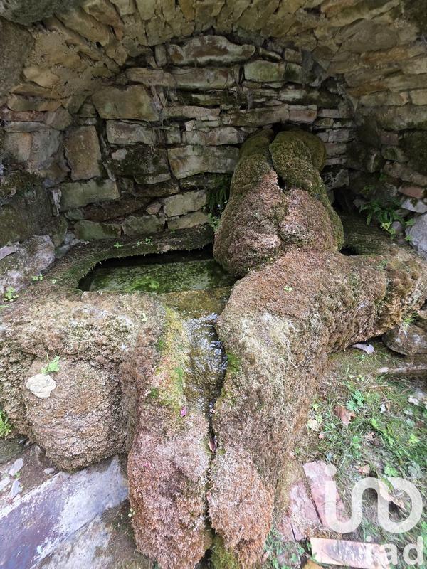 Maison de campagne - 221 m² - 9 pièces