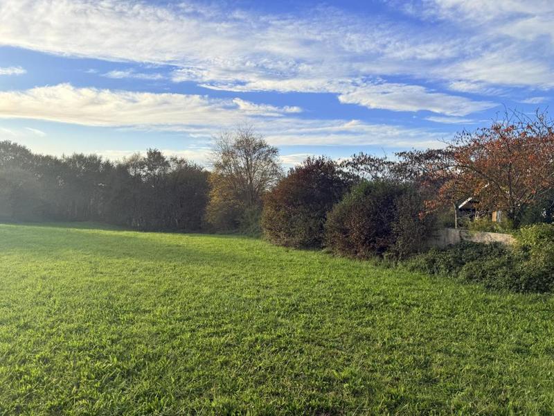 Terrain - 15 500 m²