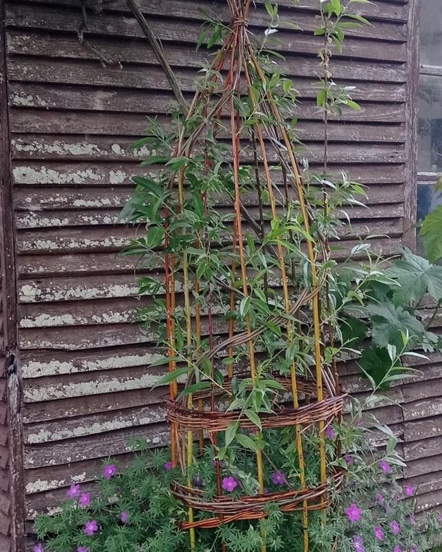 Atelier soleil d'Osier  - Françoise defaux