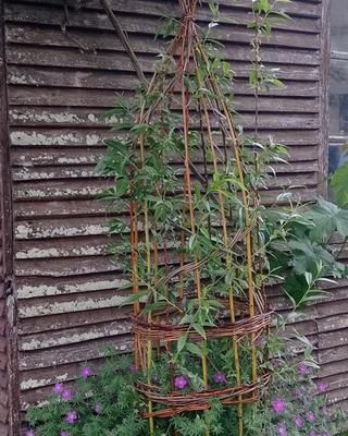 Atelier soleil d'Osier  - Françoise defaux