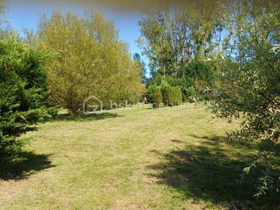 Terrain de loisirs - 8 163 m²