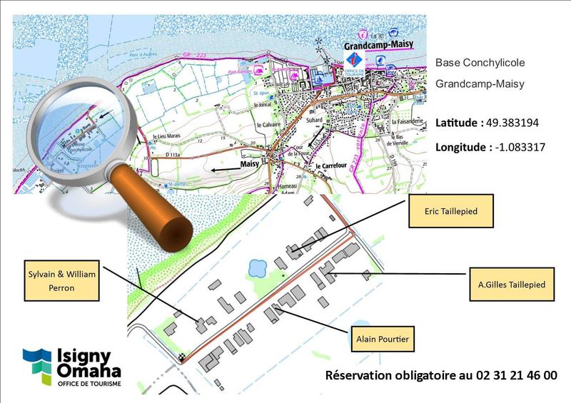 Visite parcs à huitres "L'autre goût de la Normandie"