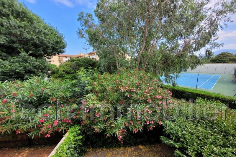 Appartement - 28 m² - 1 pièce