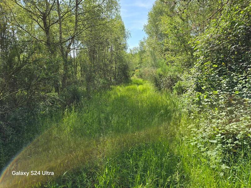 Terrain - 231 782 m²