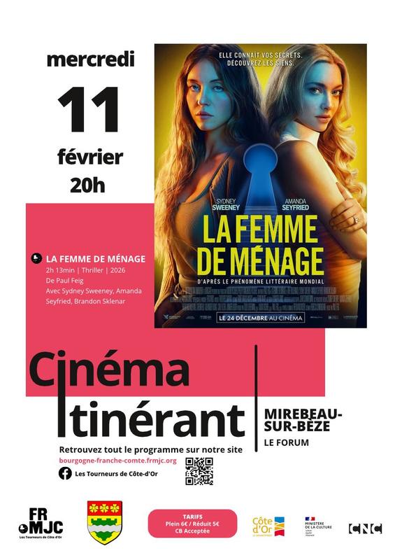 Cinéma - la femme de ménage