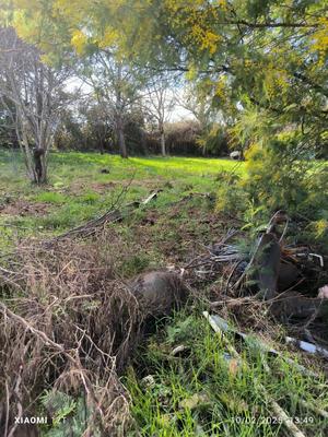 Terrain constructible - 562 m²