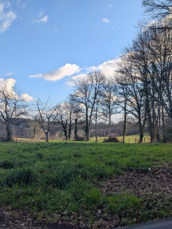 Terrain constructible - 1 500 m²