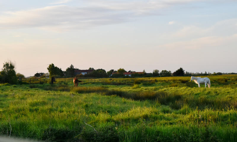 Longère - 97 m² - 5 pièces