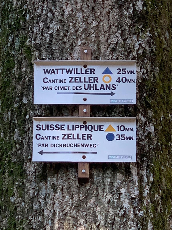 Escape Game : à l'assaut de la Suisse Lippique