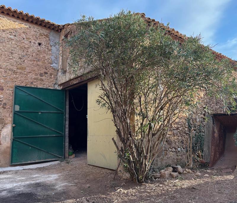 Remise - 162 m² - 1 pièce