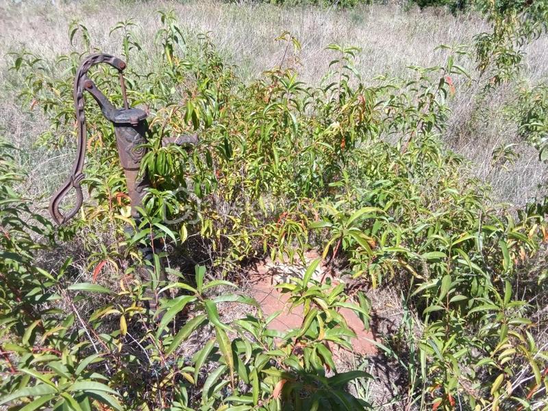 Terrain constructible - 824 m²