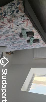 Appartement - 32 m² - 2 pièces