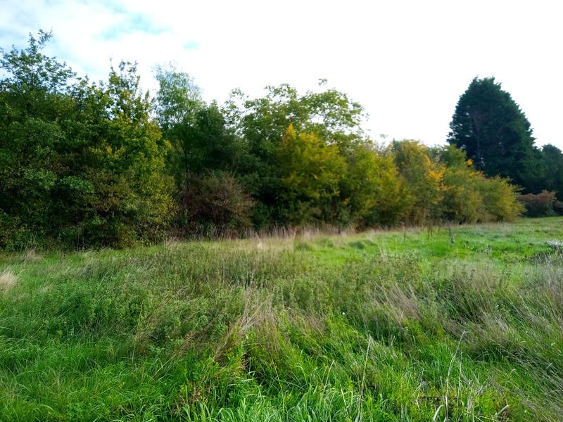 Maison - 165 m² - 5 pièces