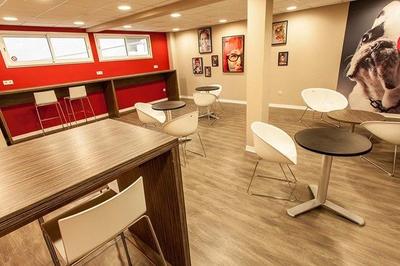 Appartement - 21 m² - 1 pièce