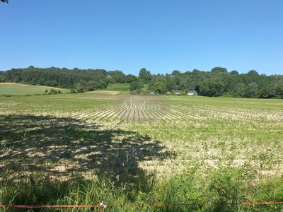 Terrain - 97 000 m²