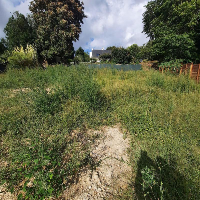 Terrain - 730 m²