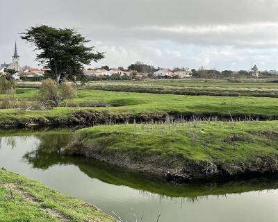 Terrain - 11 140 m²