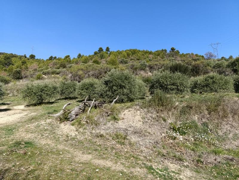 Terrain - 1 840 m²