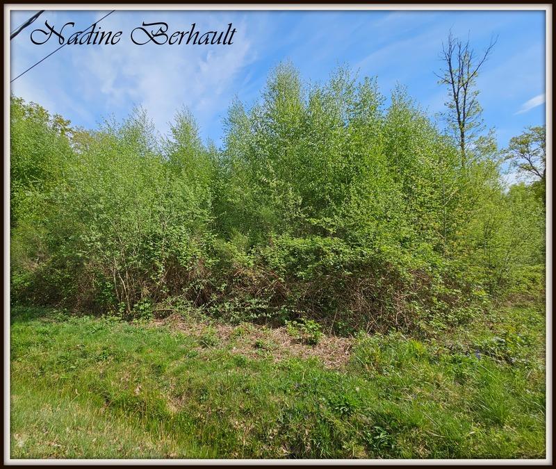 Terrain constructible - 3 921 m²