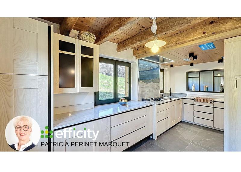 Châlet - 243 m² - 12 pièces