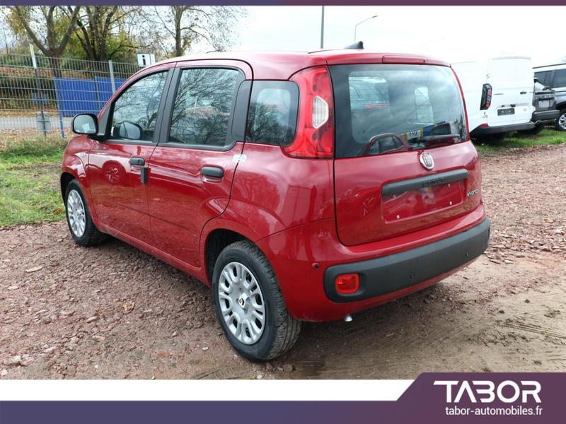 Fiat Panda Mhev 70 5"-Dab 5-S Pdc DigC LaneA Bt