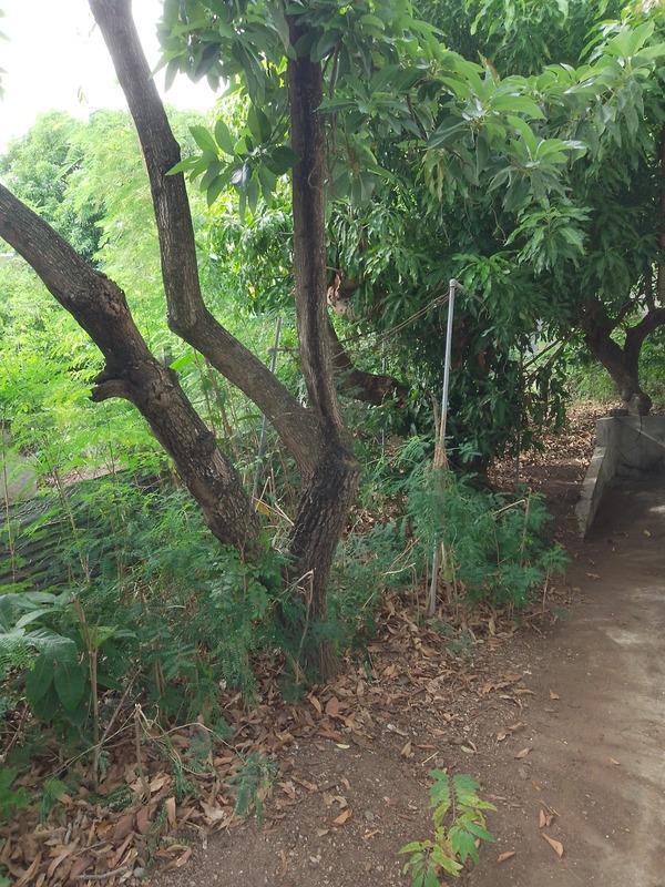 Maison - 60 m² - 4 pièces