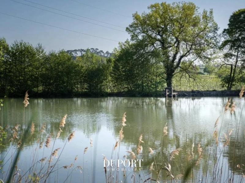 Propriété viticole - 366 m² - 10 pièces