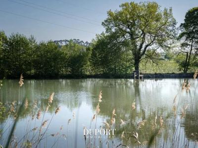 Propriété viticole - 366 m² - 10 pièces