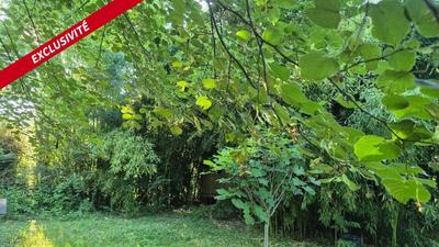 Terrain de loisirs - 1 000 m²