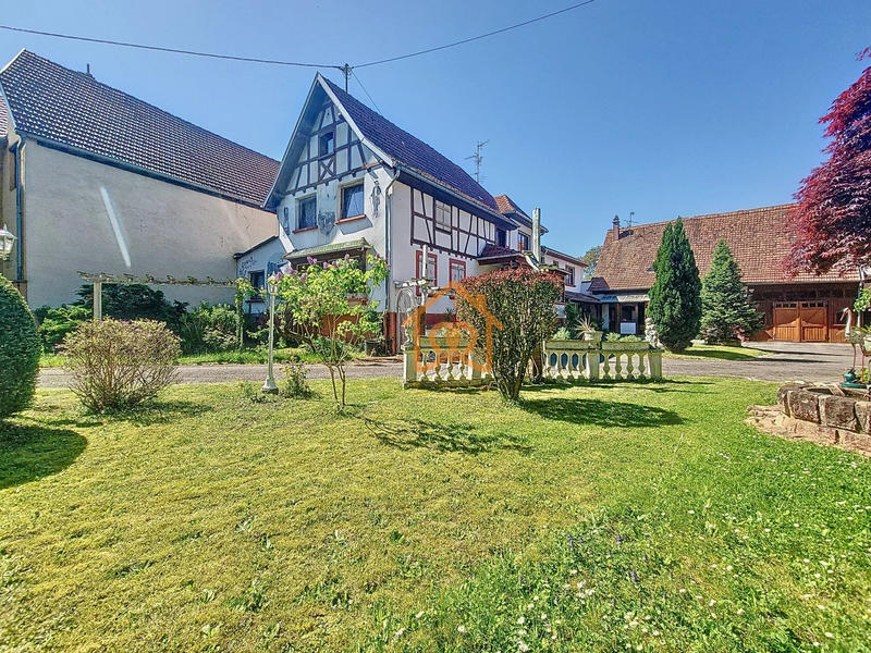 Maison - 354 m²