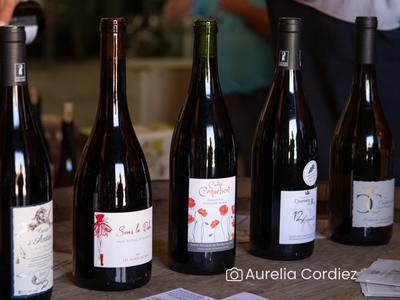 Dégustation des cuvées du domaine