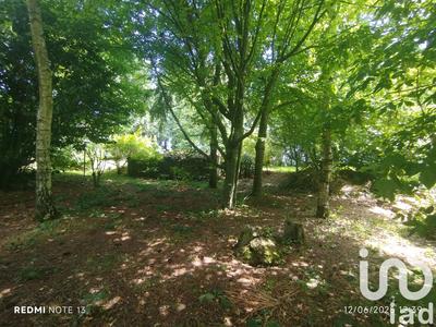 Maison de campagne - 110 m² - 3 pièces