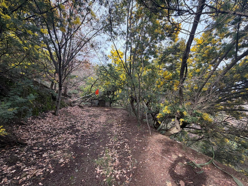 Terrain agricole - 6 500 m²