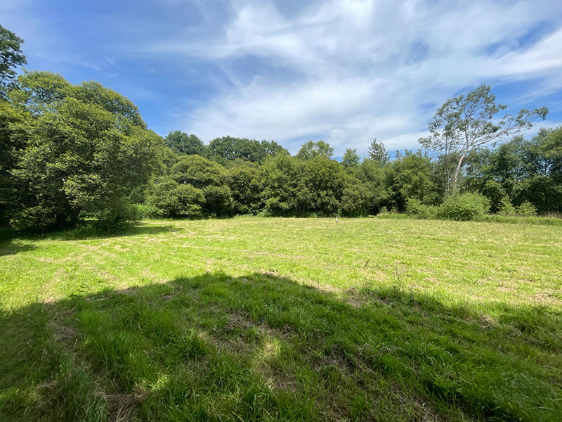 Maison - 130 m² - 9 pièces