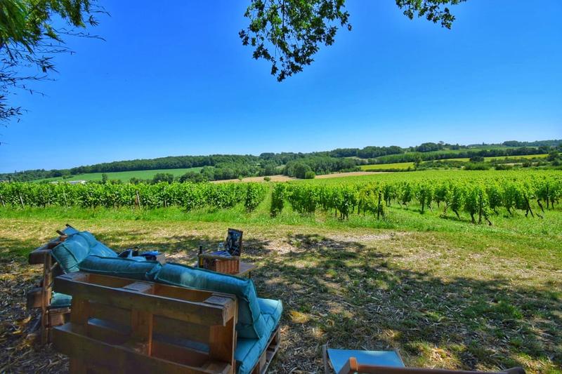 Pique-nique dans les vignes au Château Hostens-Picant